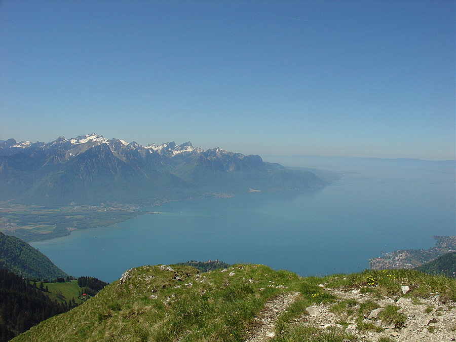 Hoch über dem Lac Léman