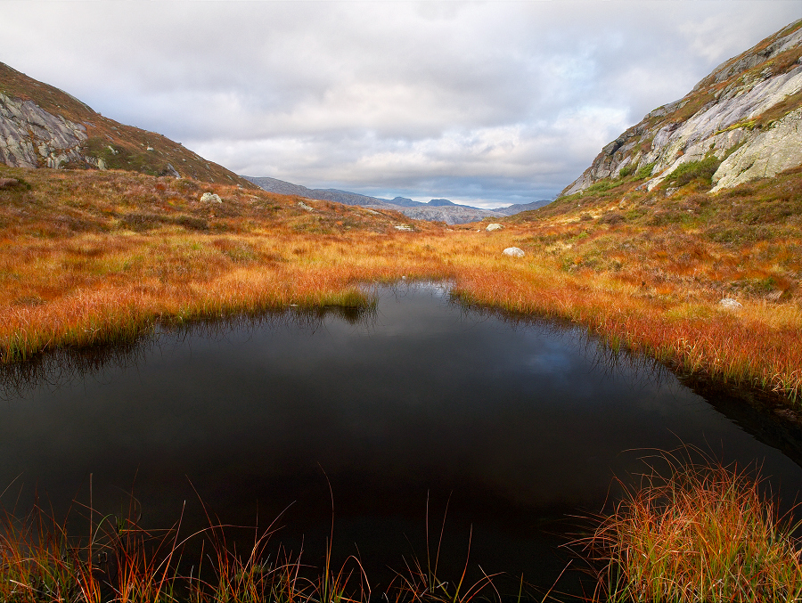 Hoch über dem Lysefjord