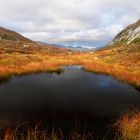 Hoch über dem Lysefjord