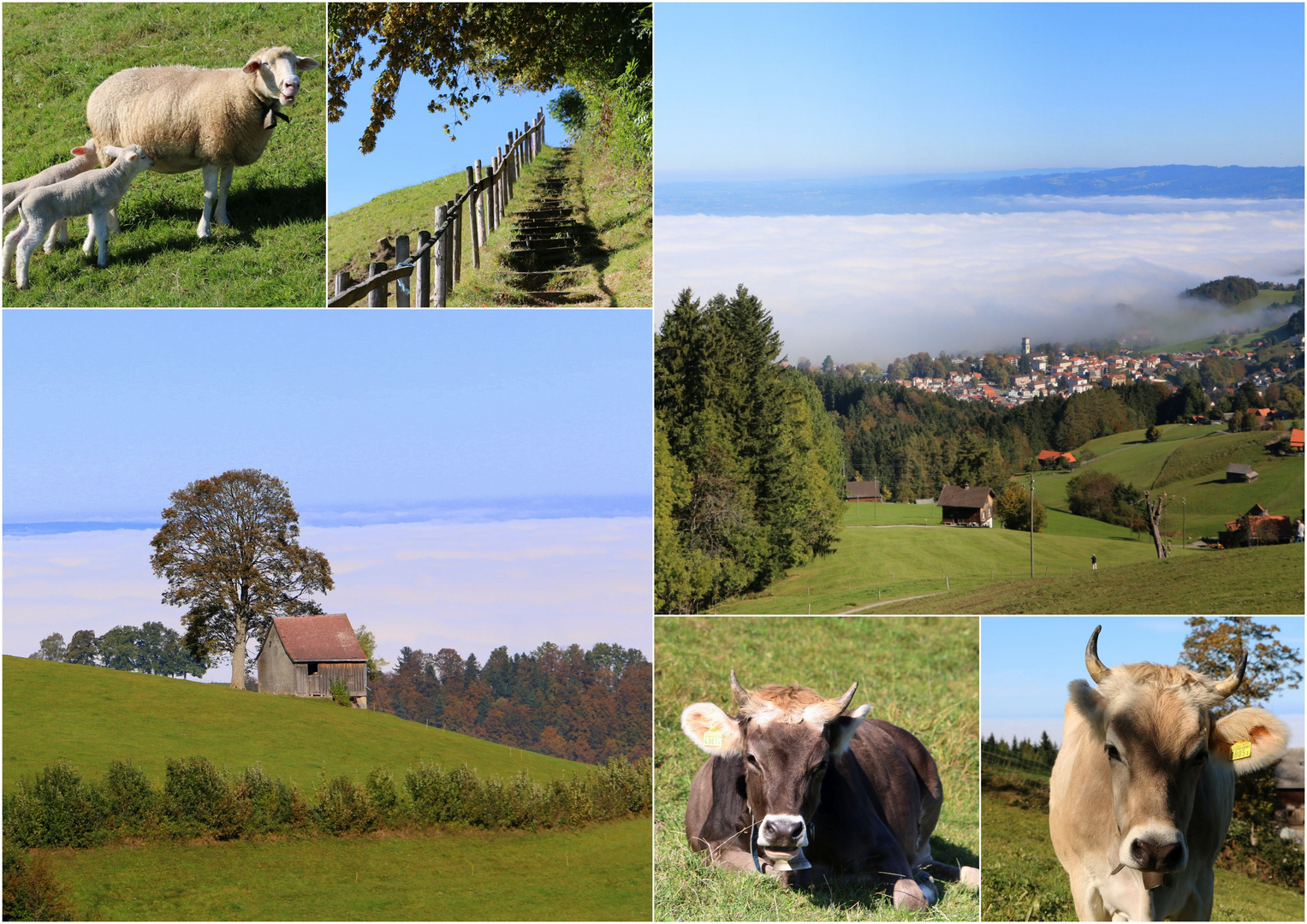 Hoch über dem Nebelmeer.....