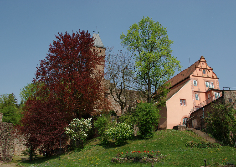 Hoch über dem Neckar