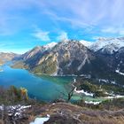 Hoch über dem Plansee 29.01.2024