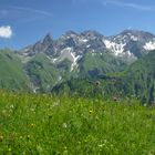 Hoch über dem Rappenalptal