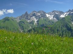 Hoch über dem Rappenalptal