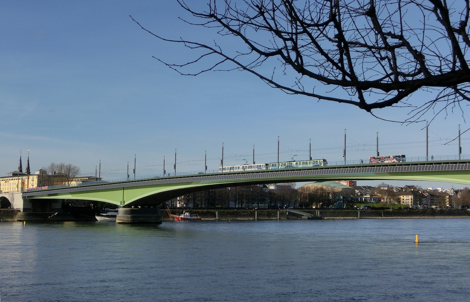 Hoch über dem Rhein