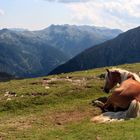 hoch über dem Sarntal