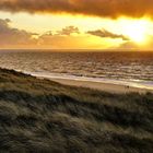 HOCH ÜBER DEM STRAND VON WENNINGSTEDT - SYLT FEBRUAR 2016