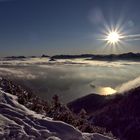 Hoch über dem Walchensee 