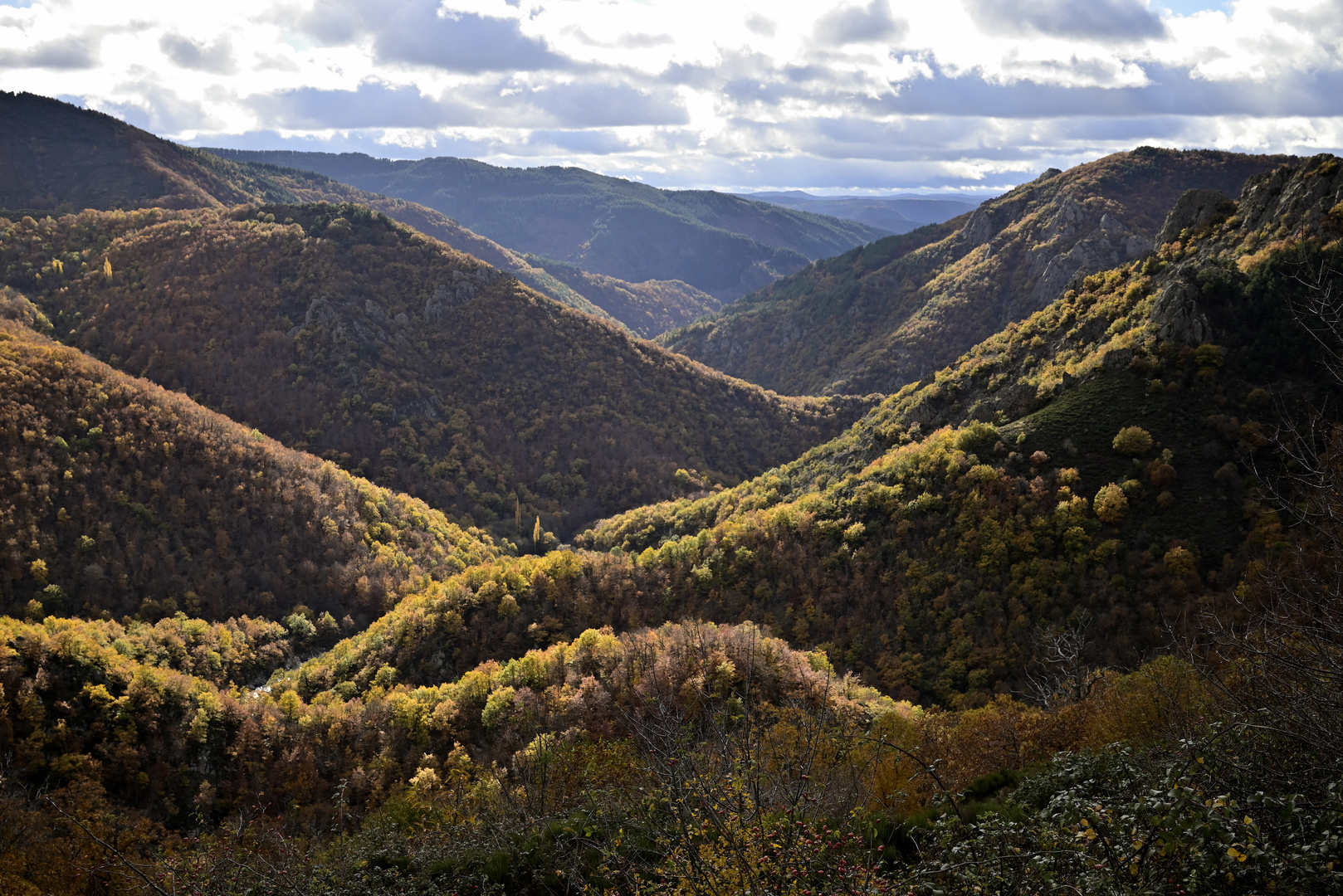 hoch über der Gorges de la Dourbie