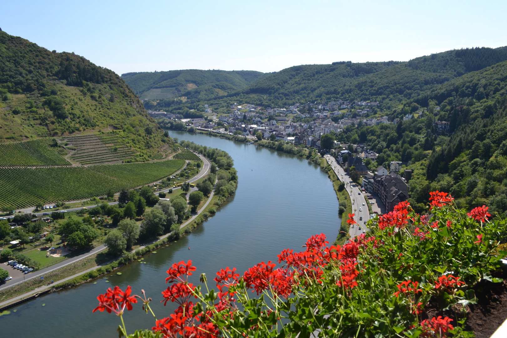 Hoch über der Mosel