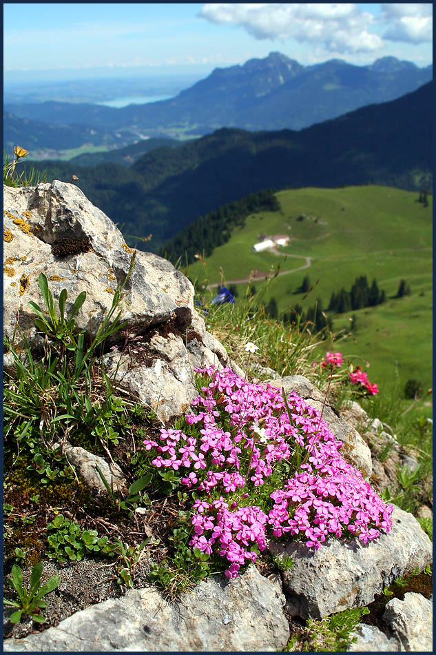 ...hoch über der Raazalpe...