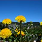 Hoch über Klingenthal