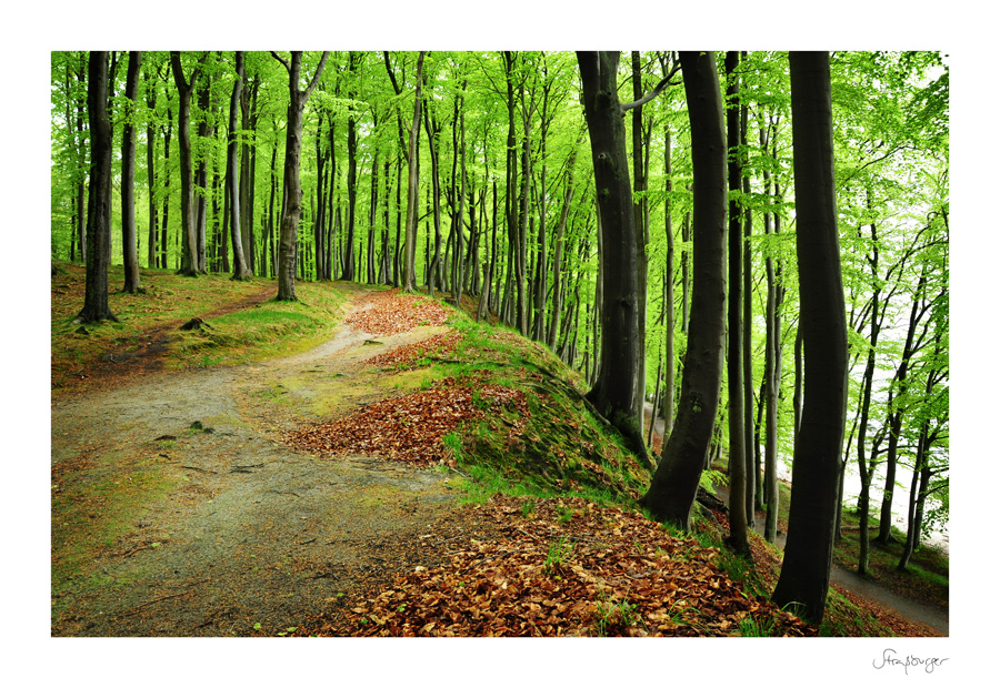 hoch überm meer