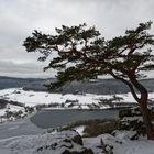 Hoch überm See