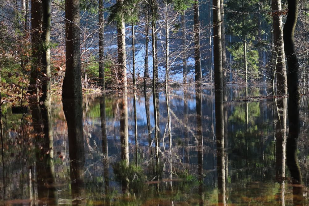 Hoch-Wasser-Spiegelung