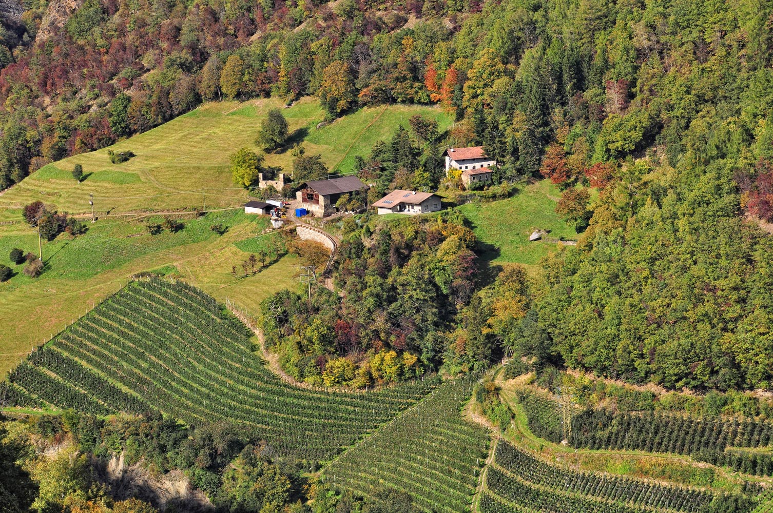 HOCH WEINBERGLAGE VON BURG JUVAL