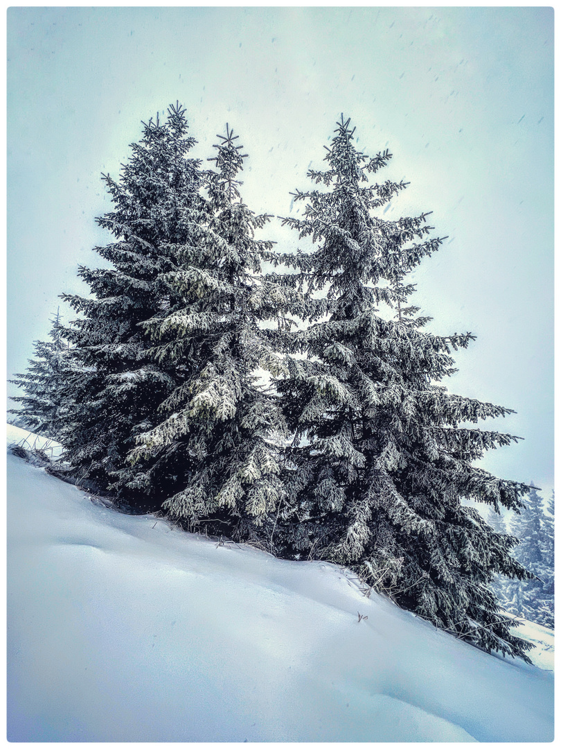 Hoch zu Berge