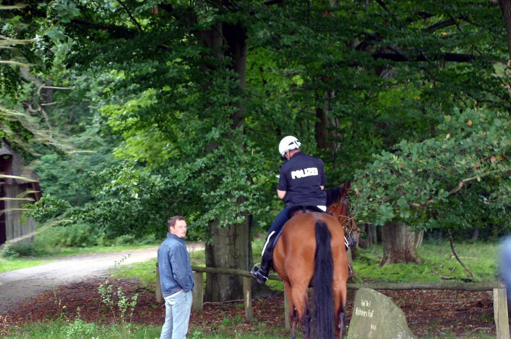 Hoch zu Roß - die Polizei auf Streife