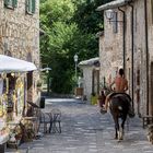 Hoch zu Roß in Bagno Vignoni