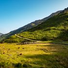 Hochalm im Spätsommer