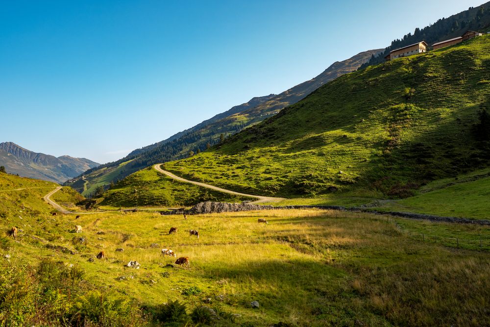 Hochalm im Spätsommer