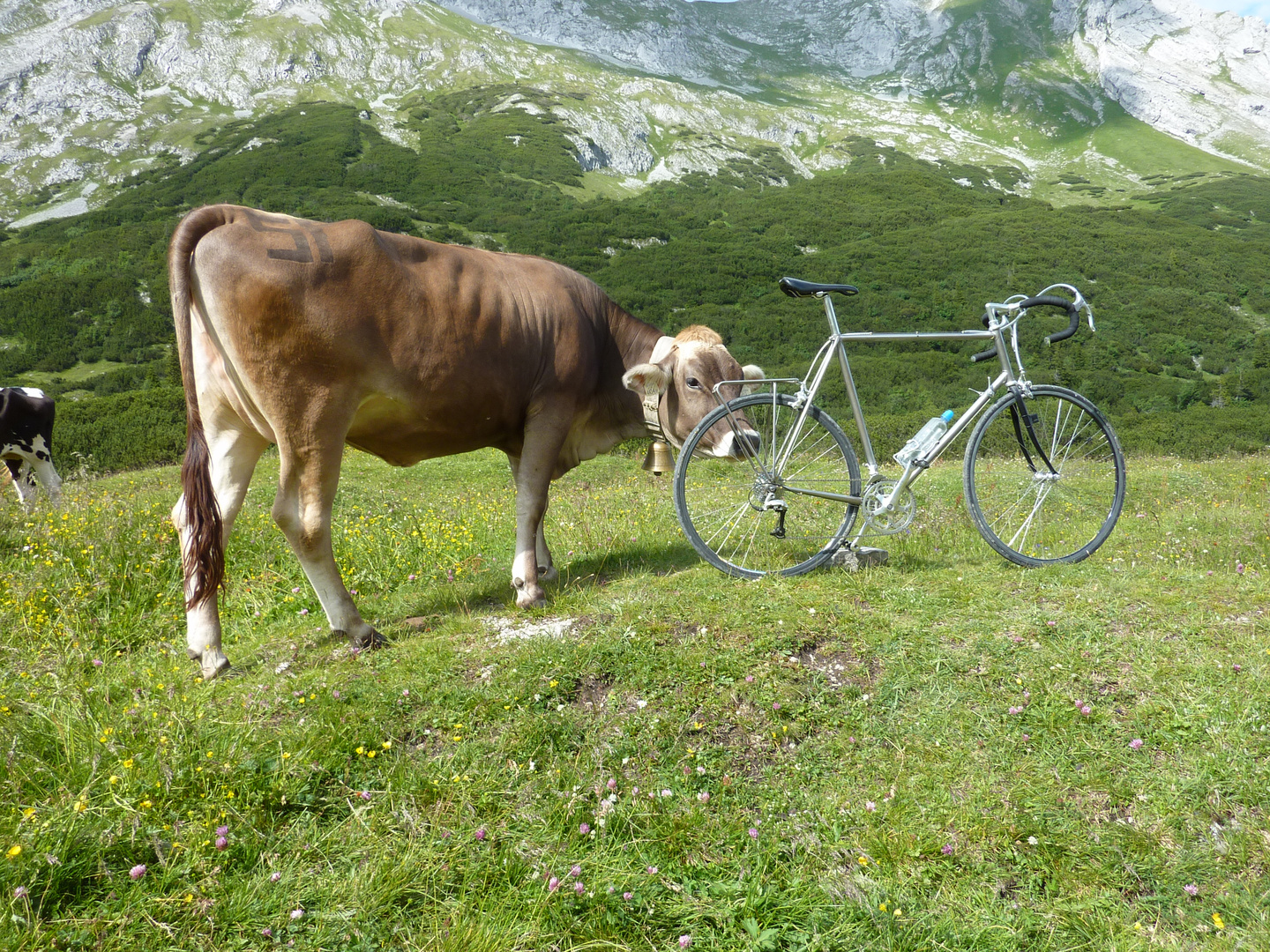 Hochalmsattel Karwendel