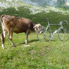 Hochalmsattel Karwendel