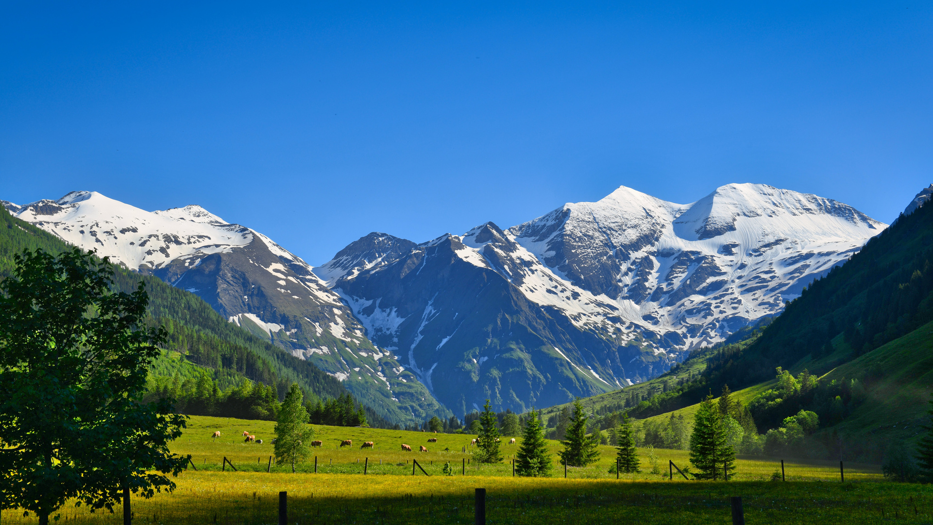 Hochalpenstraße am Großglockner