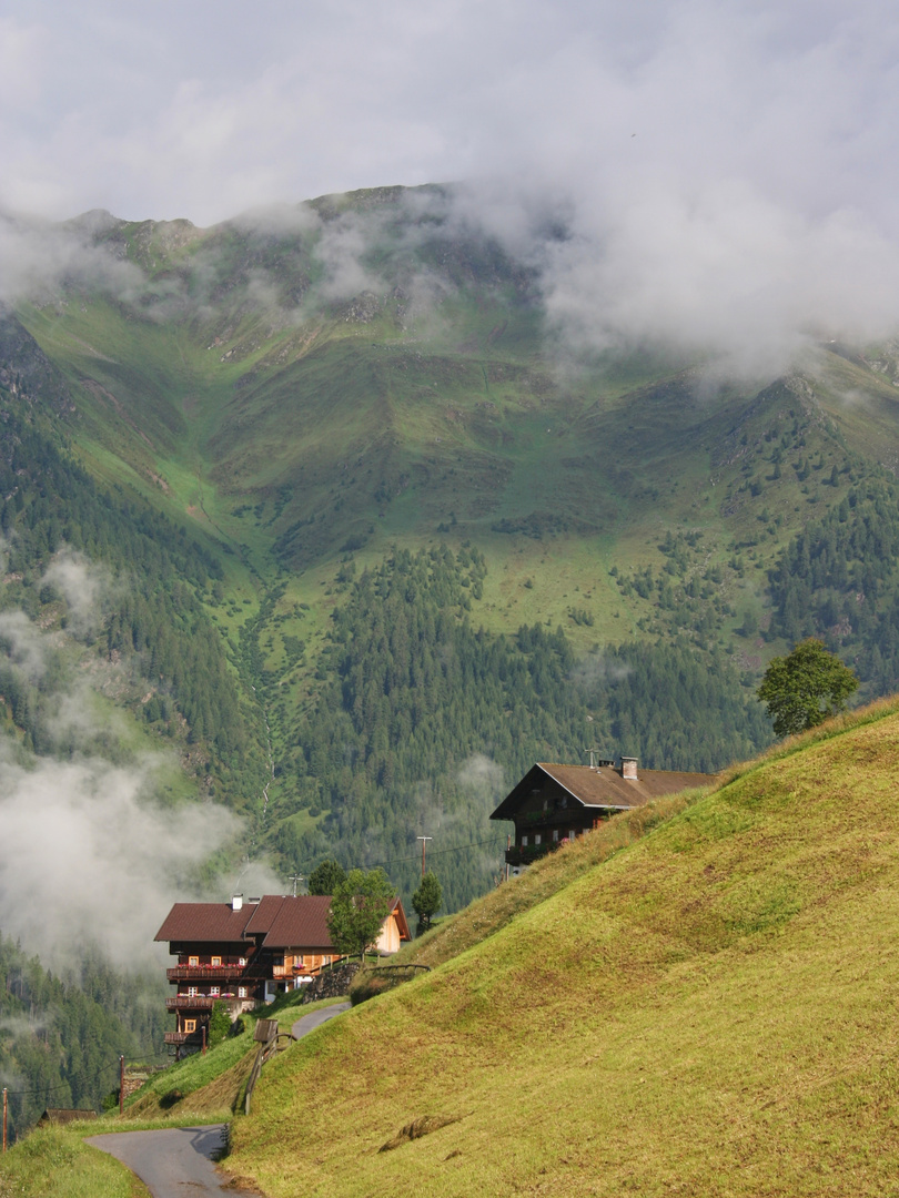 Hochberg, Innervillgraten, 1700 m (IMG_7244_ji)