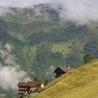 Hochberg, Innervillgraten, 1700 m (IMG_7244_ji)