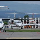 Hochbetrieb auf dem Flughafen Bern-Belp