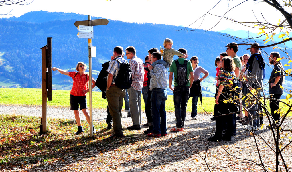 Hochbetrieb auf'm " Handtäschleweg"