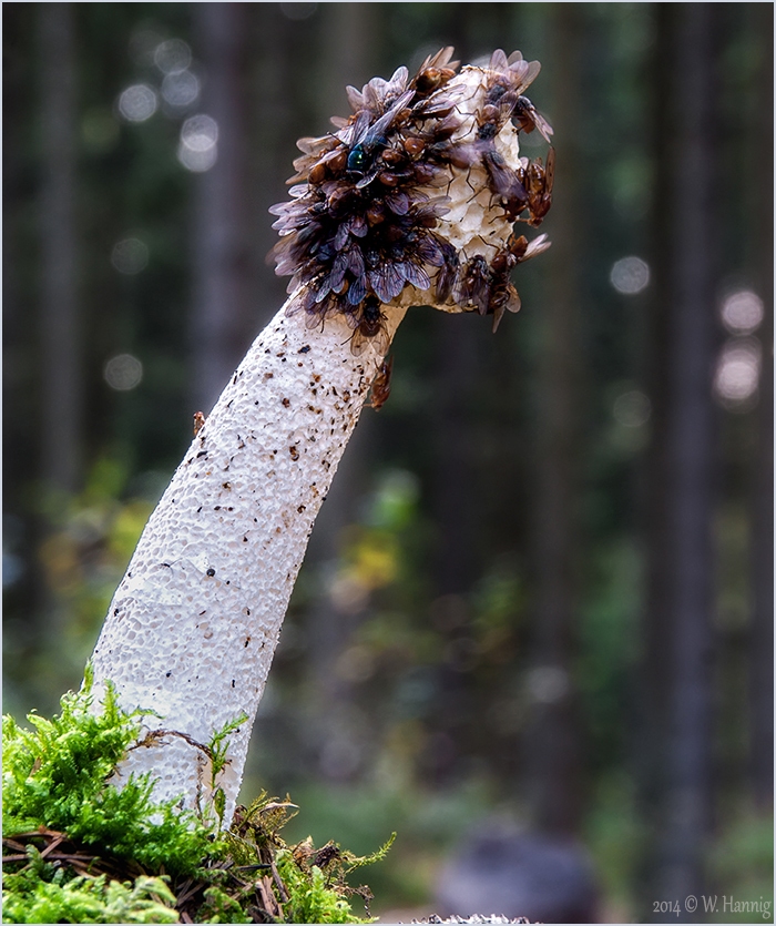 Hochbetrieb...