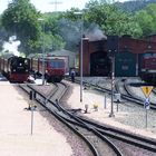 Hochbetrieb im Bahnhof Gernrode/Harz