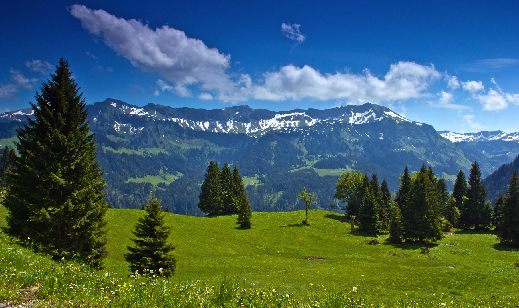 Hochblanken bis Sünser Spitze