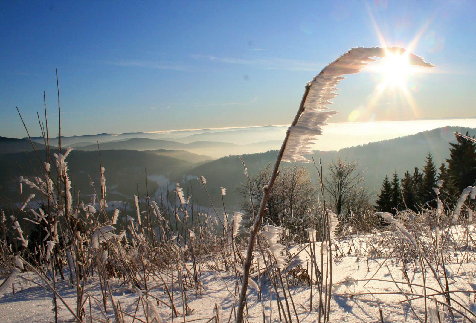 Hochblauen