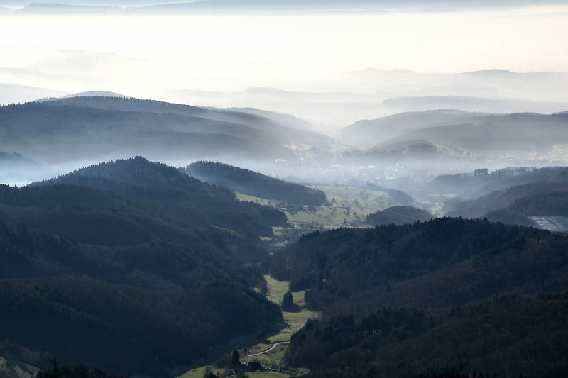 Hochblauen 1165m