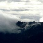 Hochblauen/Südschwarzwald im Morgennebel