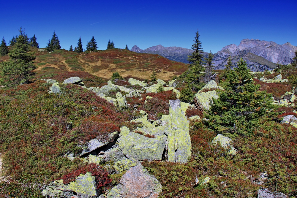 Hochebene am Muttjöchle (3)