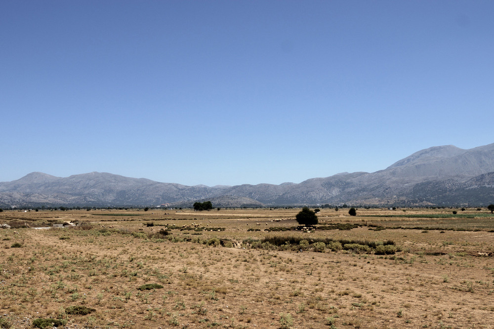 Hochebene auf Kreta (Lasithi)