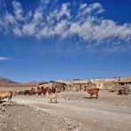 Hochebene des Altiplano