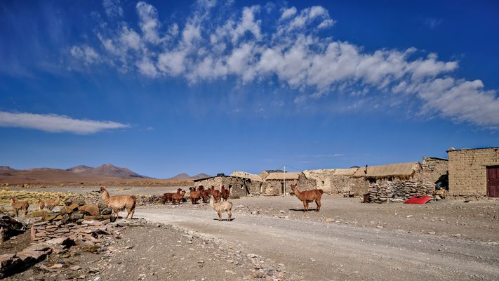 Hochebene des Altiplano