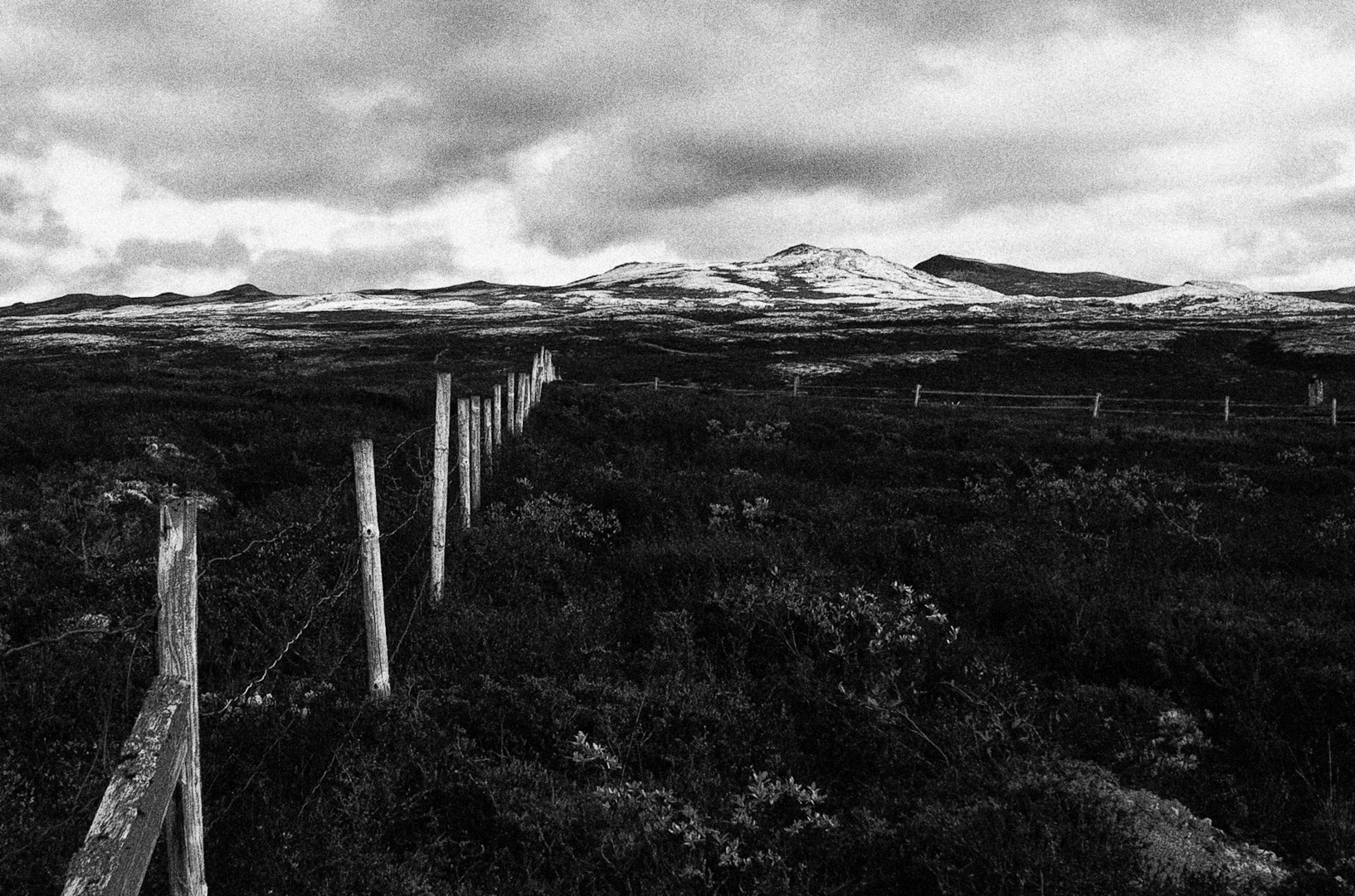 Hochebene im Rondane Nationalpark