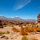 Hochebene in der Atacama