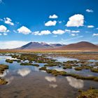 Hochebene in der Atacama