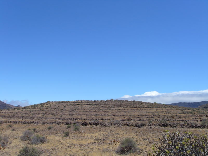 Hochebene Las Pilas (La Gomera)