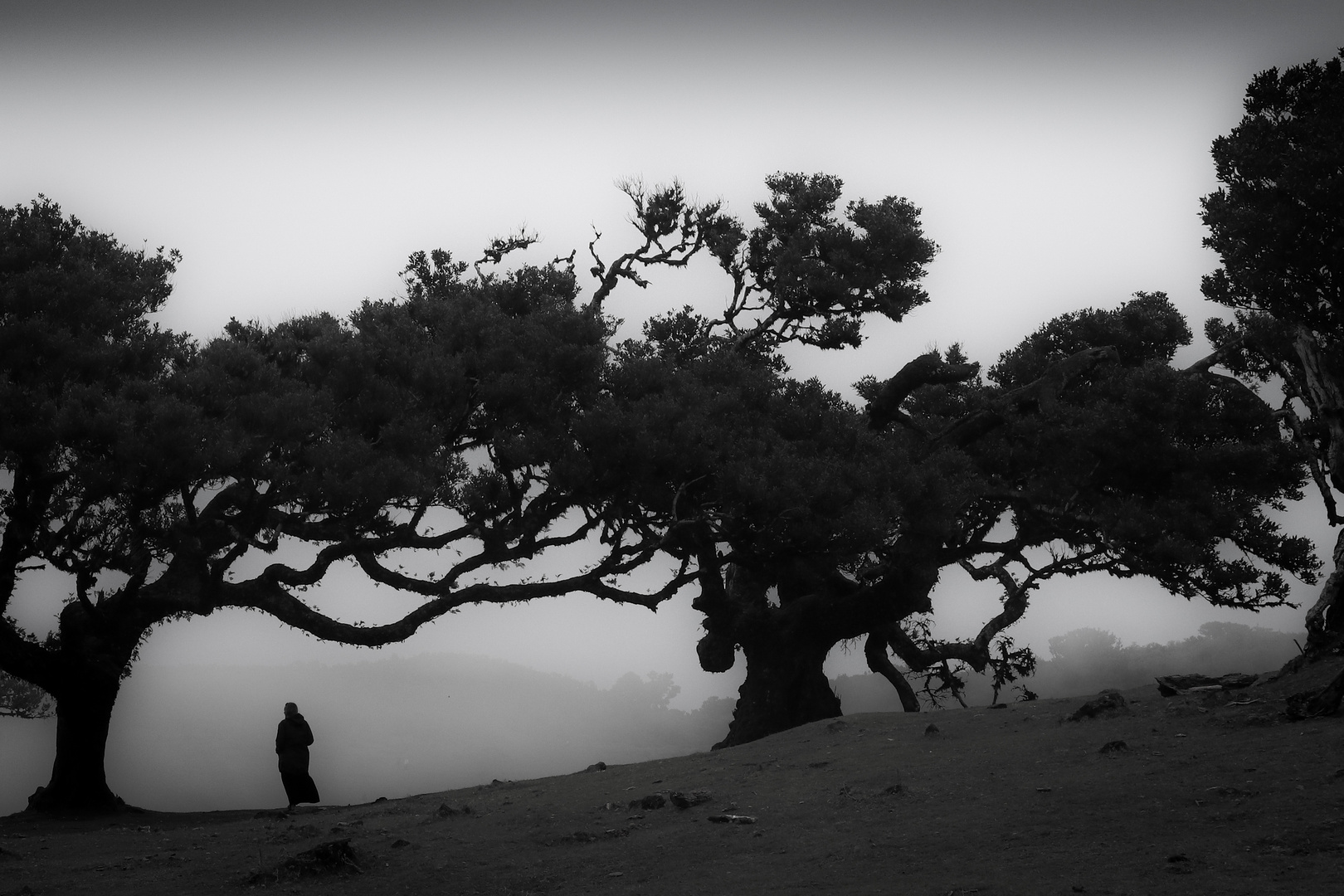 Hochebene Madeira