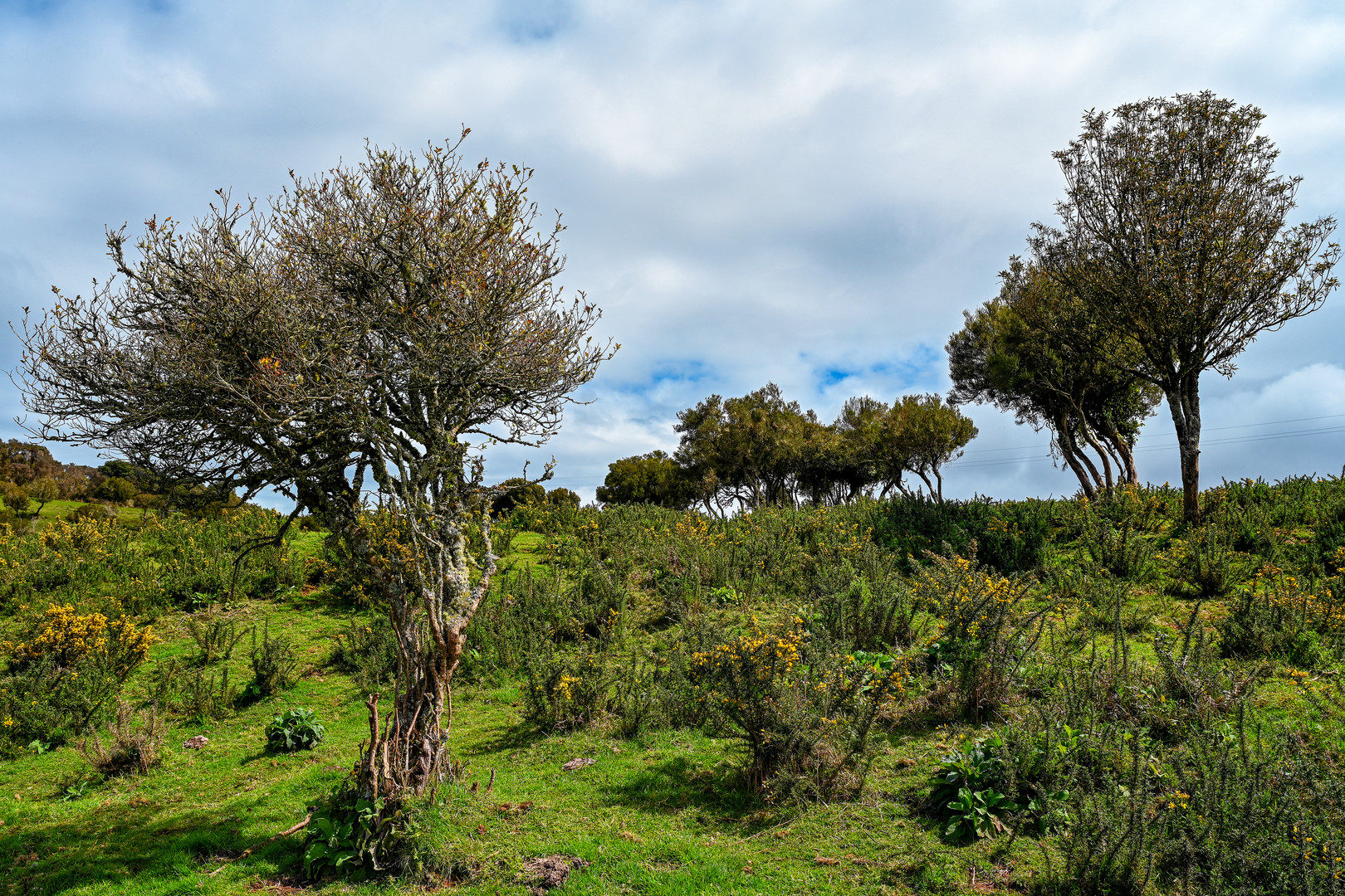 Hochebene Paúl da Serra 20