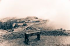 Hochebene von Furnas im Nebel 