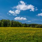 *Hocheifel - Frühling*